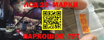 Альфа ПВП Будённовск
