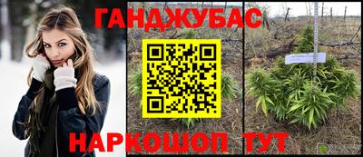 Альфа ПВП Будённовск