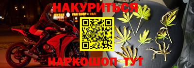 Альфа ПВП Будённовск