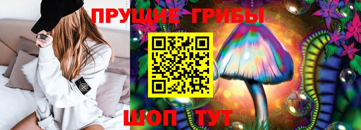 Псилоцибиновые грибы GOLDEN TEACHER  Галлюциногенные грибы Cubensis  Первоуральск  Вход с VPN 